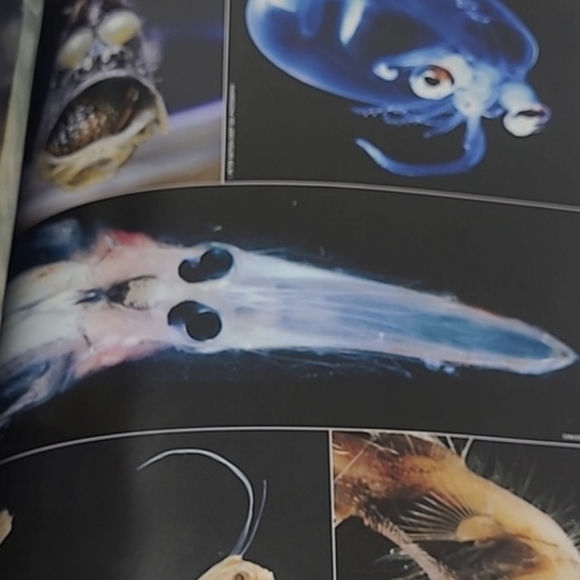 2010 LIFE BOOKS - WONDERS OF LIFE - THE AMAZING WORLD OF NATURE - Picture 16 of 16